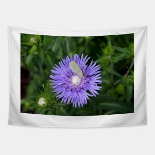 Stokes Aster With White Butterfly Tapestry