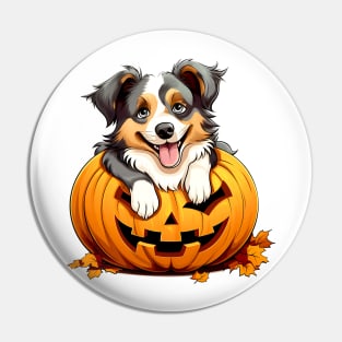 Australian Shepherd Dog inside Pumpkin #2 Pin