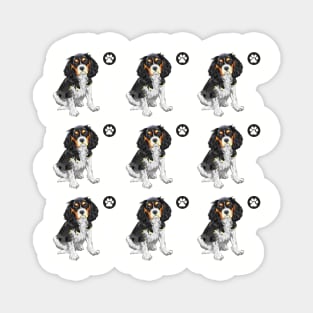 Cavalier King Charles Spaniel dog Magnet