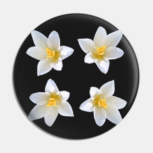 White Crocus Bouquet No Background Pin