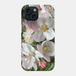 Apple Blossoms Phone Case