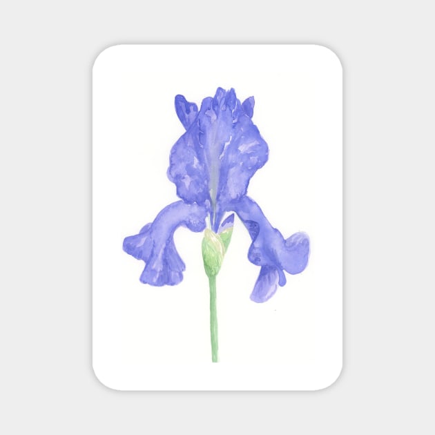 Blue Iris Magnet by wynbre