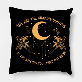 Granddaughters of Witches You Could Not Burn Pillow