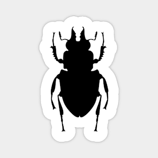 Beetle 1 (request other colours) Magnet