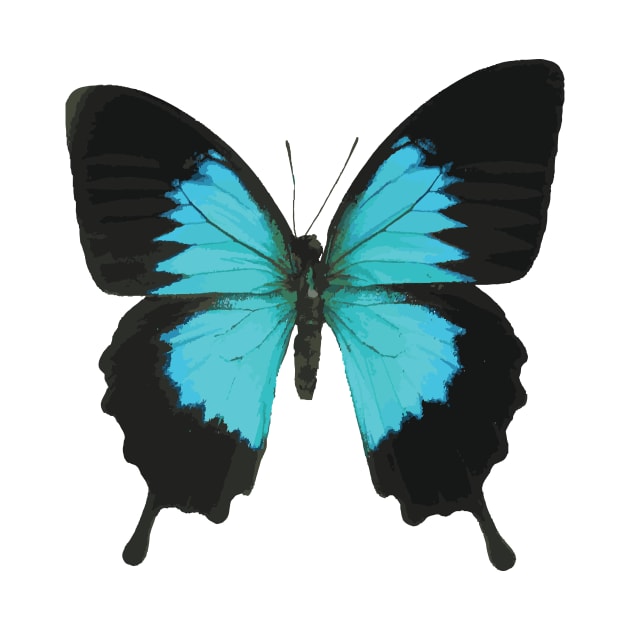 Black and Blue Butterfly by faboop