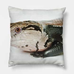 Halmahera Blue-Tongued Skink Pillow