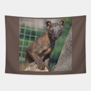 Fossa Tapestry