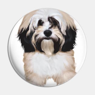 Cute Havanese Drawing Pin