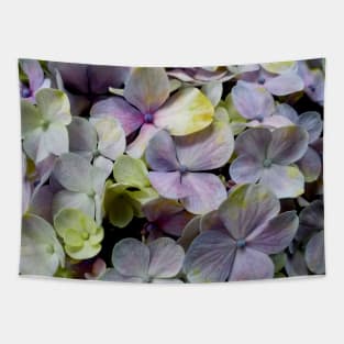 Hydrangea flower macro pattern Tapestry