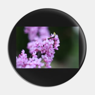 Red Bud Flowers Pin