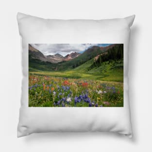 Alpine flowers in Rustler's Gulch, USA (C006/5999) Pillow