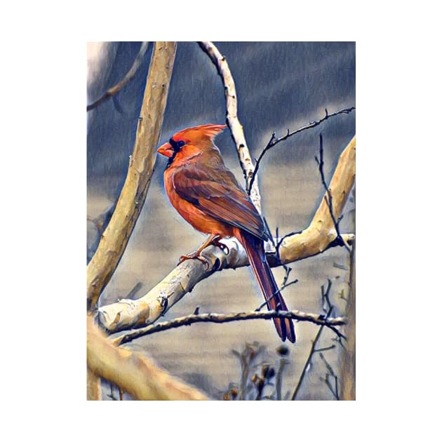 Northern Cardinal by Sharonzoolady