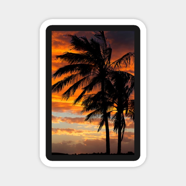 Tropical Silhouette Magnet by jwwallace