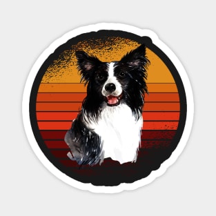 Vintage Border collie sunset, dog, dogs, puppy, sheepdog, collie mom gifts Magnet