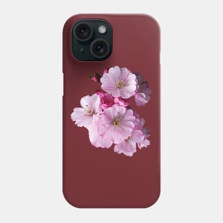 Cherry Blossoms - Closeup of Cherry Blossoms Phone Case