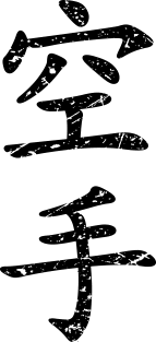 Karate in Black Distressed Japanese Kanji Magnet