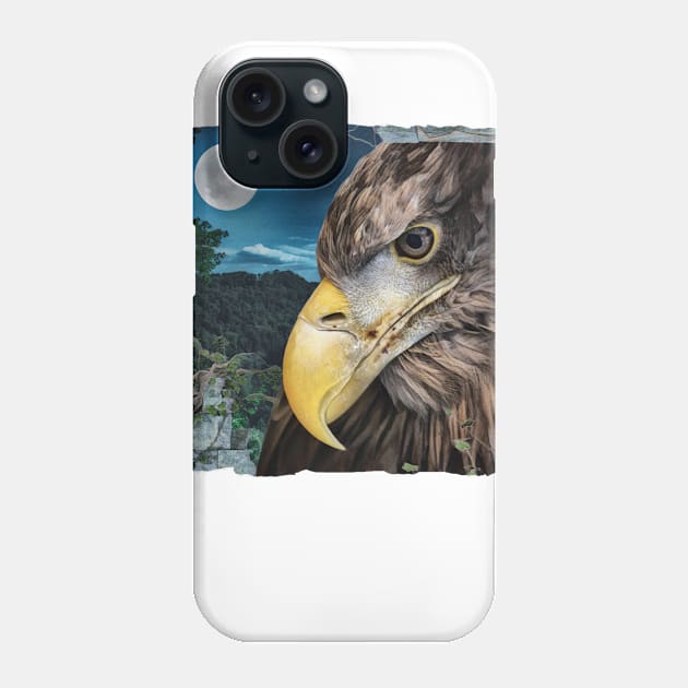 White Tailed Eagle Forest View From The Ruins Phone Case by PhotoArts