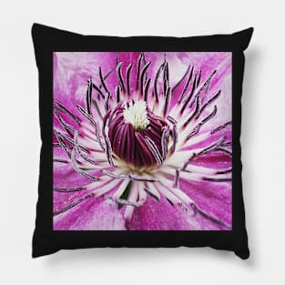 Clematis viticella Italian Leather Flower Pillow