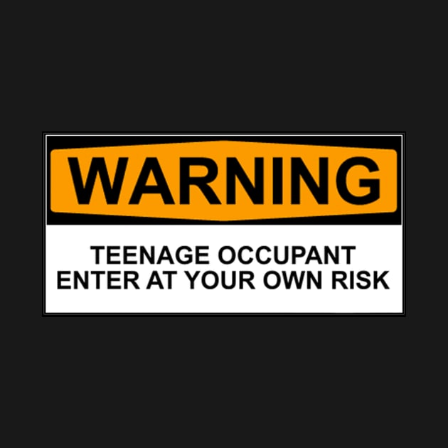 Teenage Occupant Warning by Bundjum