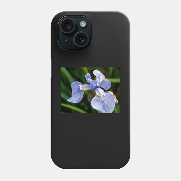 Blue Iris flower head Phone Case by lena-maximova