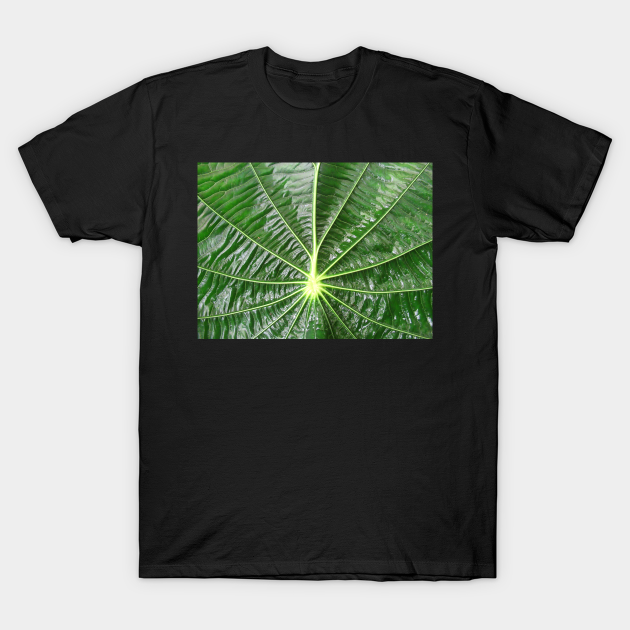 Discover green leaf of a plant, leaves, green, nature, natural, floral, flora - Green Leaf - T-Shirt