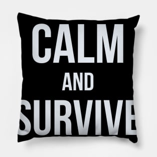 Developer Keep Calm and Survive Retrospective Pillow