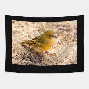 Yellow-fronted Canary, Serengeti National Park, Tanzania Tapestry