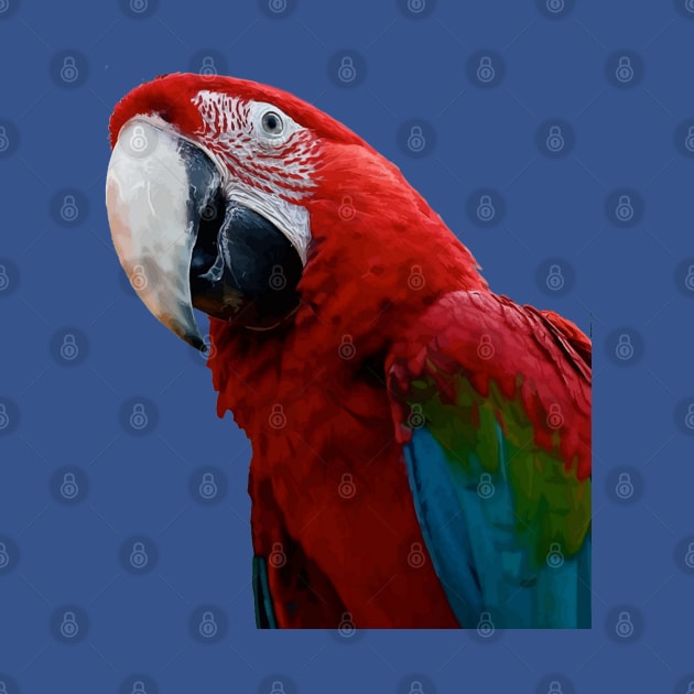 Close-Up Of A Green Winged Macaw Parrot by taiche