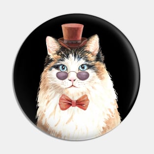 Cute Male Cat Pin