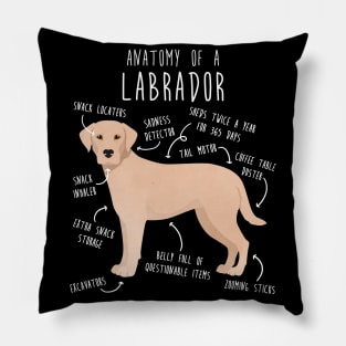 Yellow Labrador Retriever Dog Anatomy Pillow