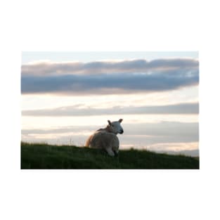 Inquisitive sheep at dawn - Isle of Skye, Scotland T-Shirt