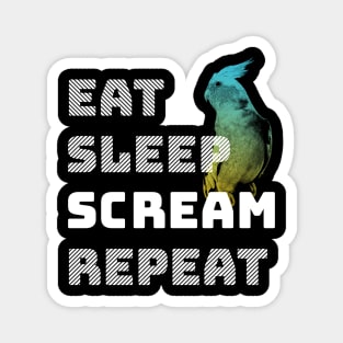 Eat Sleep Scream Repeat Cockatiel Parrot Magnet