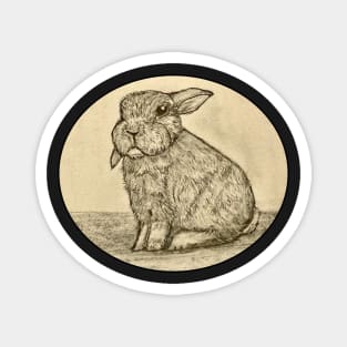 Sepia Bunny Rabbit Magnet