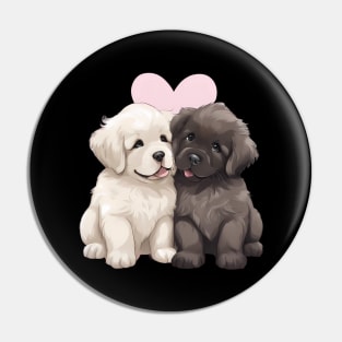 newfoundland puppy Pin