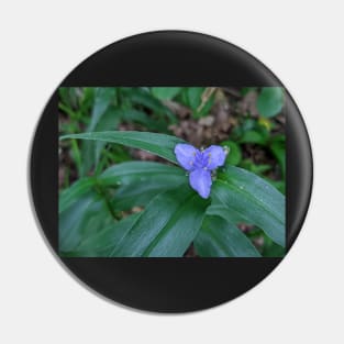 Blue and Yellow Flower in the Woods 1 Pin