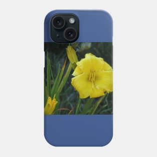 Day lily Phone Case