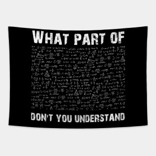 What Part Of Don't You Understand, Funny Math Lover Humor Tapestry