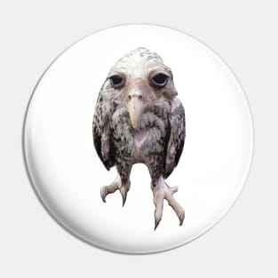 Wet owl Pin