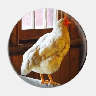 Chickens - Chicken in Barn Pin