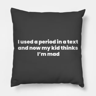 I Used A Period In a Text Pillow