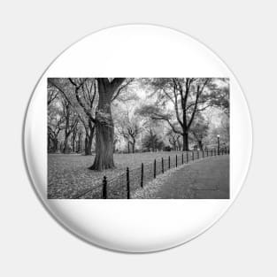 Path in the Park Pin