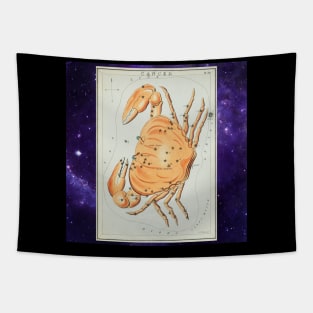 Cancer Astrology Tapestry