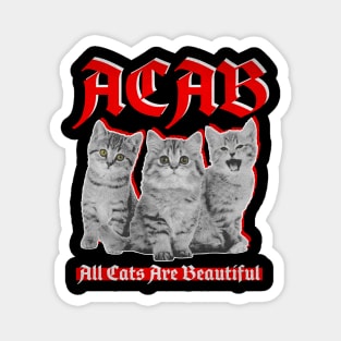 All Cats Are Beautiful Magnet