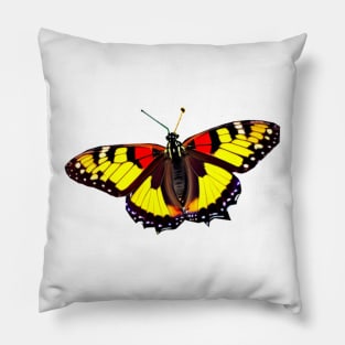 butterly Pillow