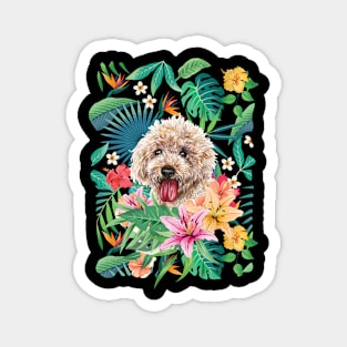 Tropical Apricot Toy Poodle Magnet