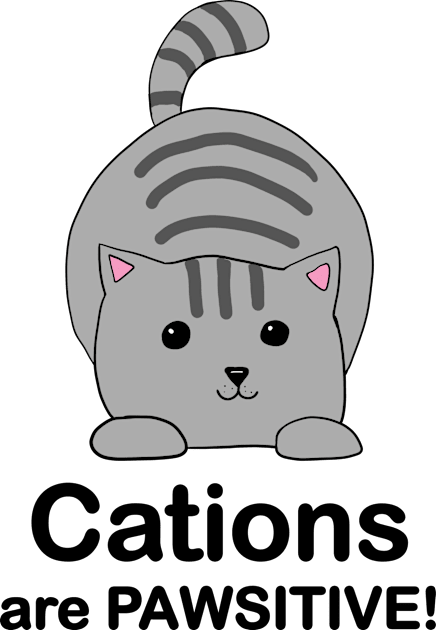 Cations Are Pawsitive! Grey Cat Kids T-Shirt by alisadesigns