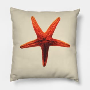 The Starfish Pillow