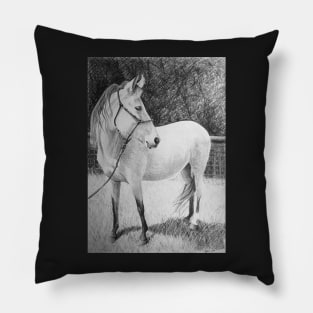 Horse  by Adelaide Artist Avril Thomas Pillow