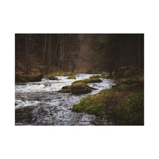 River, woods, nature T-Shirt