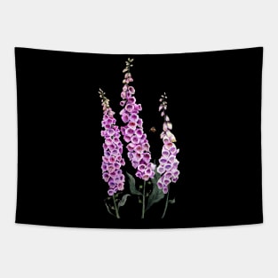 Foxglove.  Digitalis purpurea Tapestry